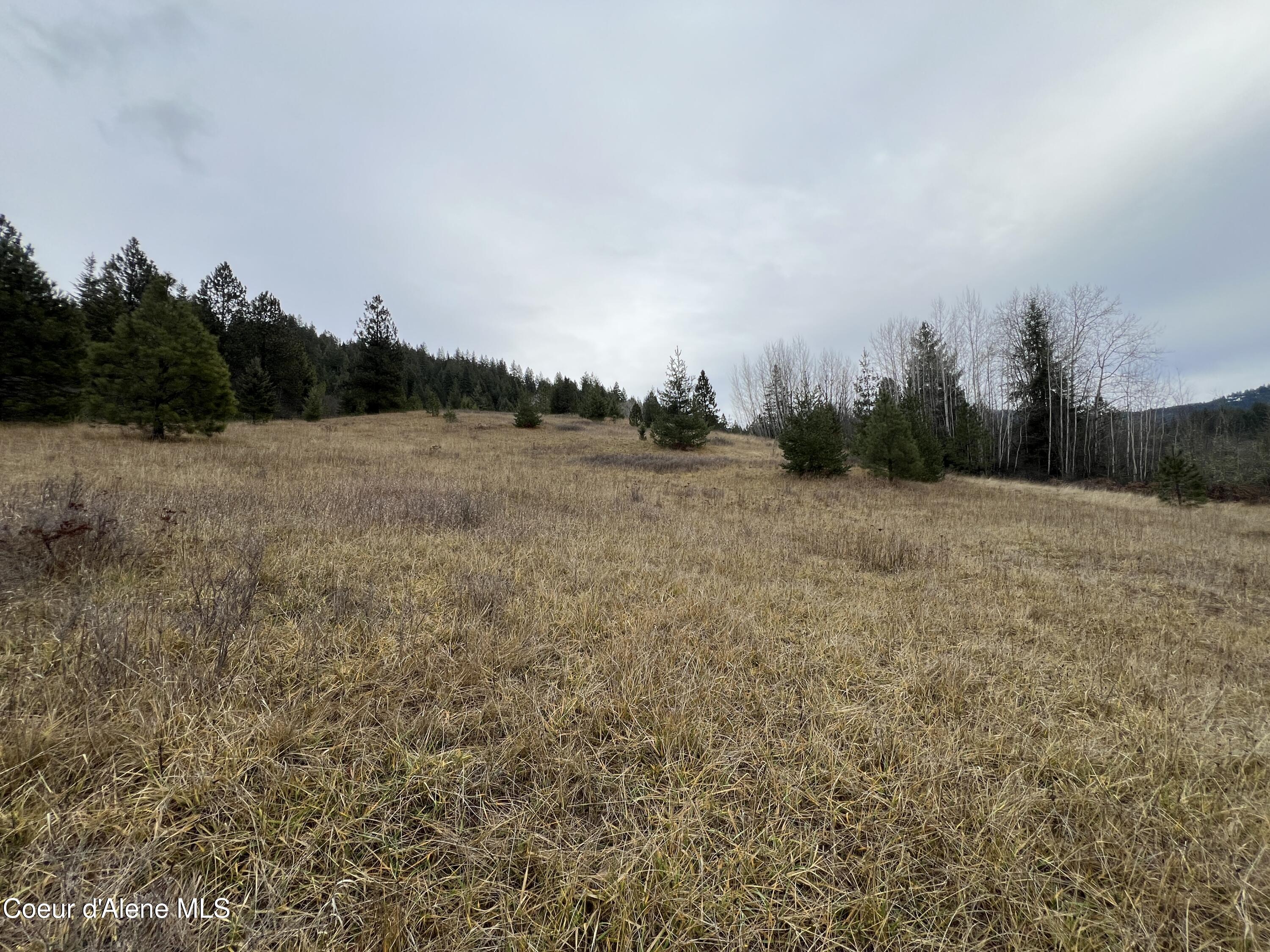 NKA S Willow Creek, Medimont, West Virginia image 13