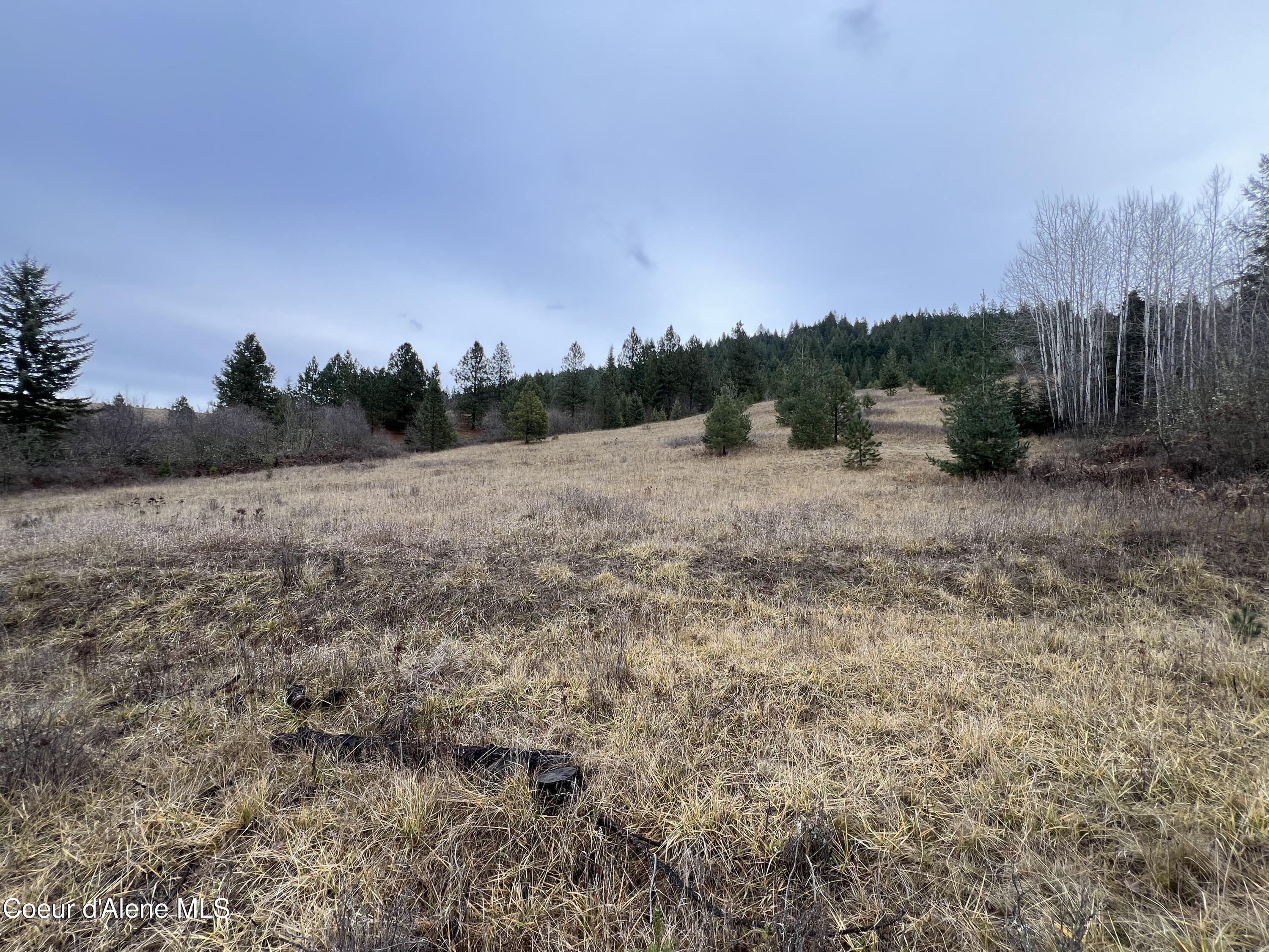 NKA S Willow Creek, Medimont, West Virginia image 11