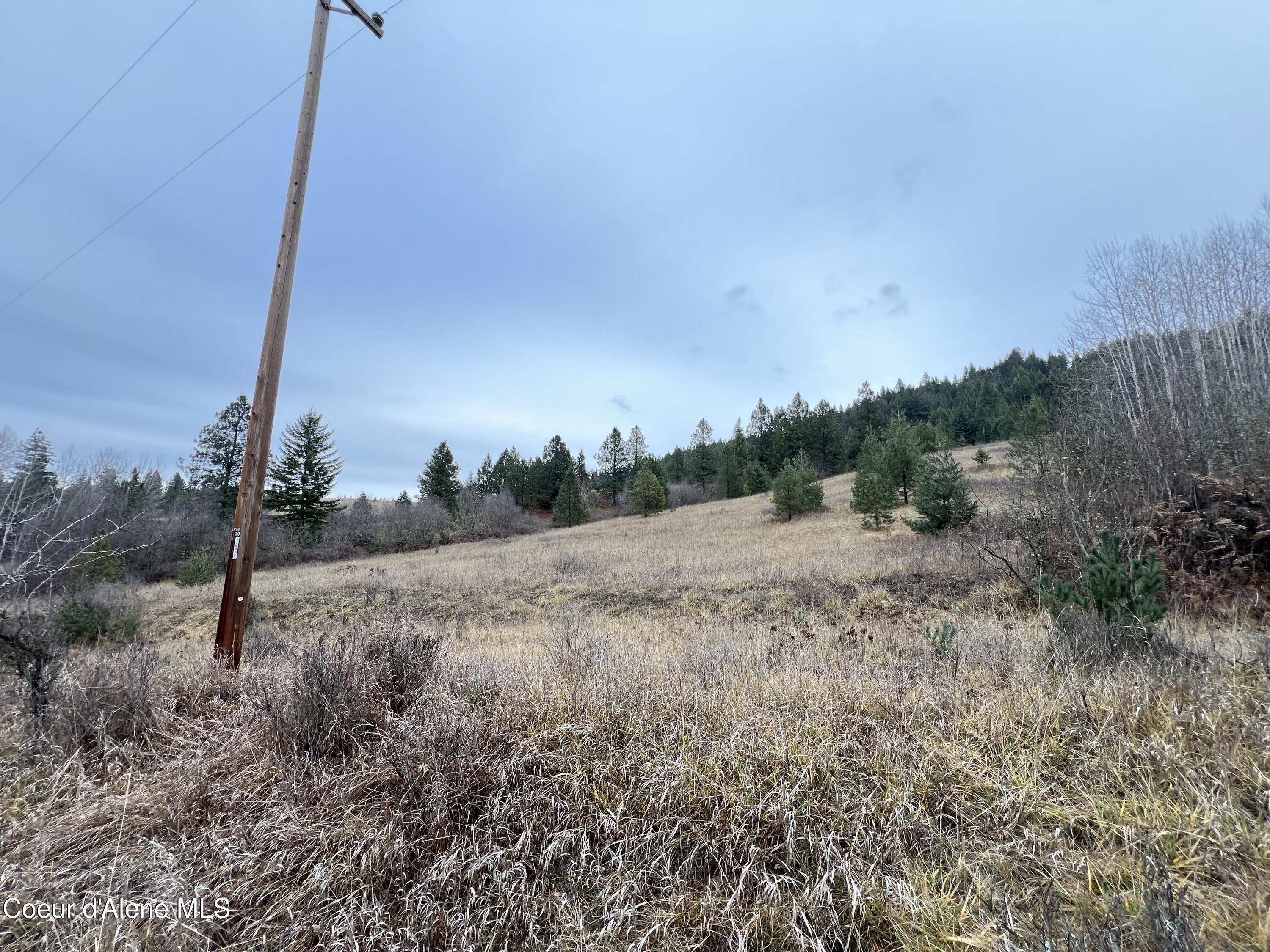 NKA S Willow Creek, Medimont, West Virginia image 10