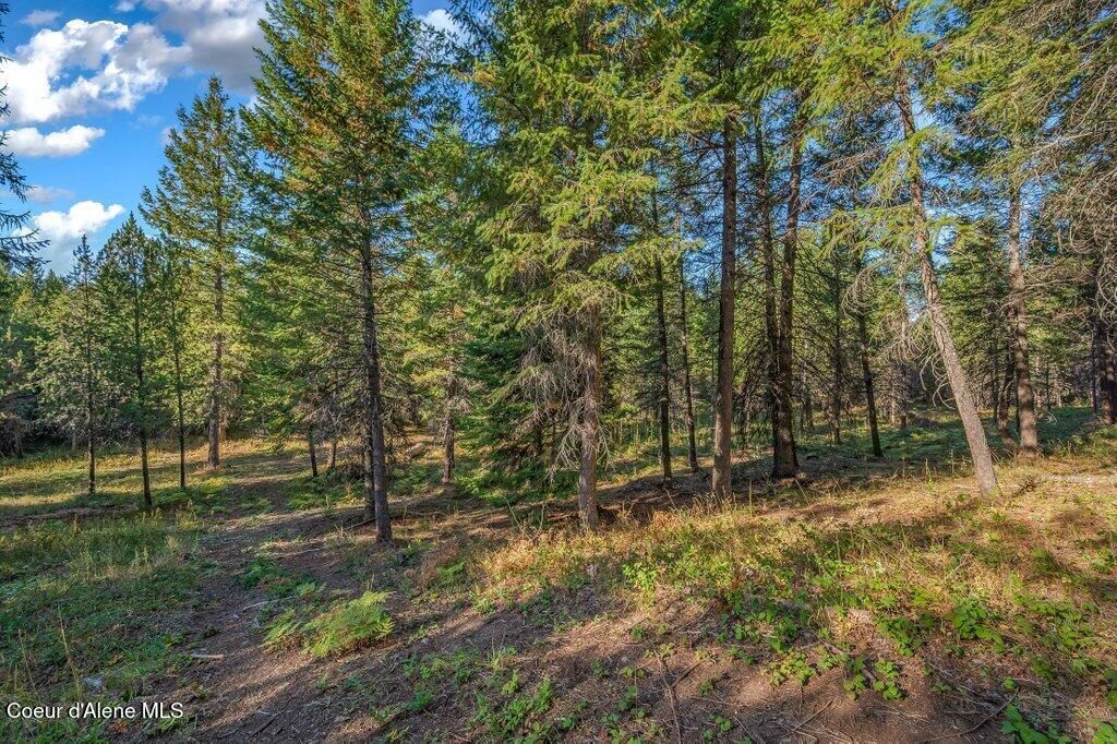 Photo of NKA Son Shine, Athol, ID 83801 (MLS # 26-4105)