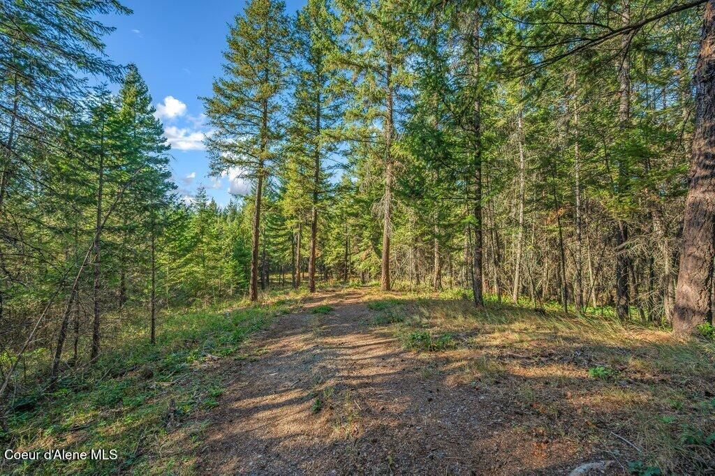 Photo of NKA Son Shine, Athol, ID 83801 (MLS # 26-4105)