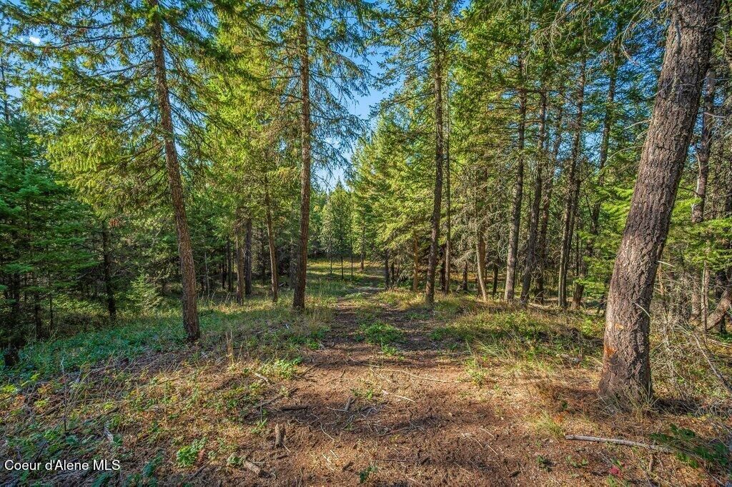 Photo of NKA Son Shine, Athol, ID 83801 (MLS # 26-4105)