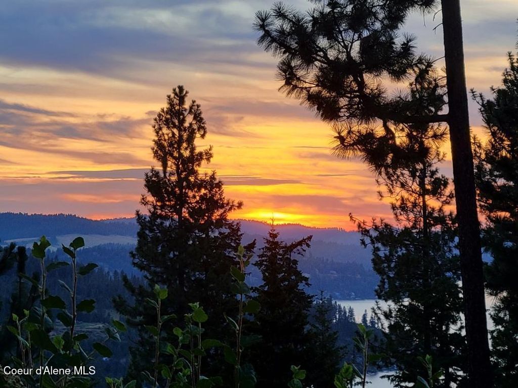 Photo of NKA Lisa, Harrison, ID 83833 (MLS # 25-9194)
