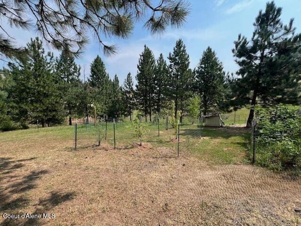 Photo of 110 Liberty Ln, Kamiah, ID 83536 (MLS # 26-1428)