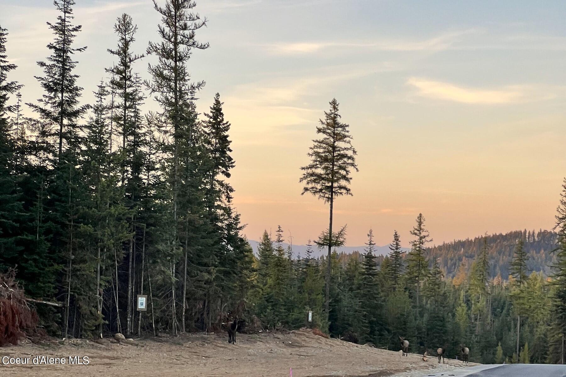 Lot4 Blk2 Leonard Loop, Athol, Idaho image 17