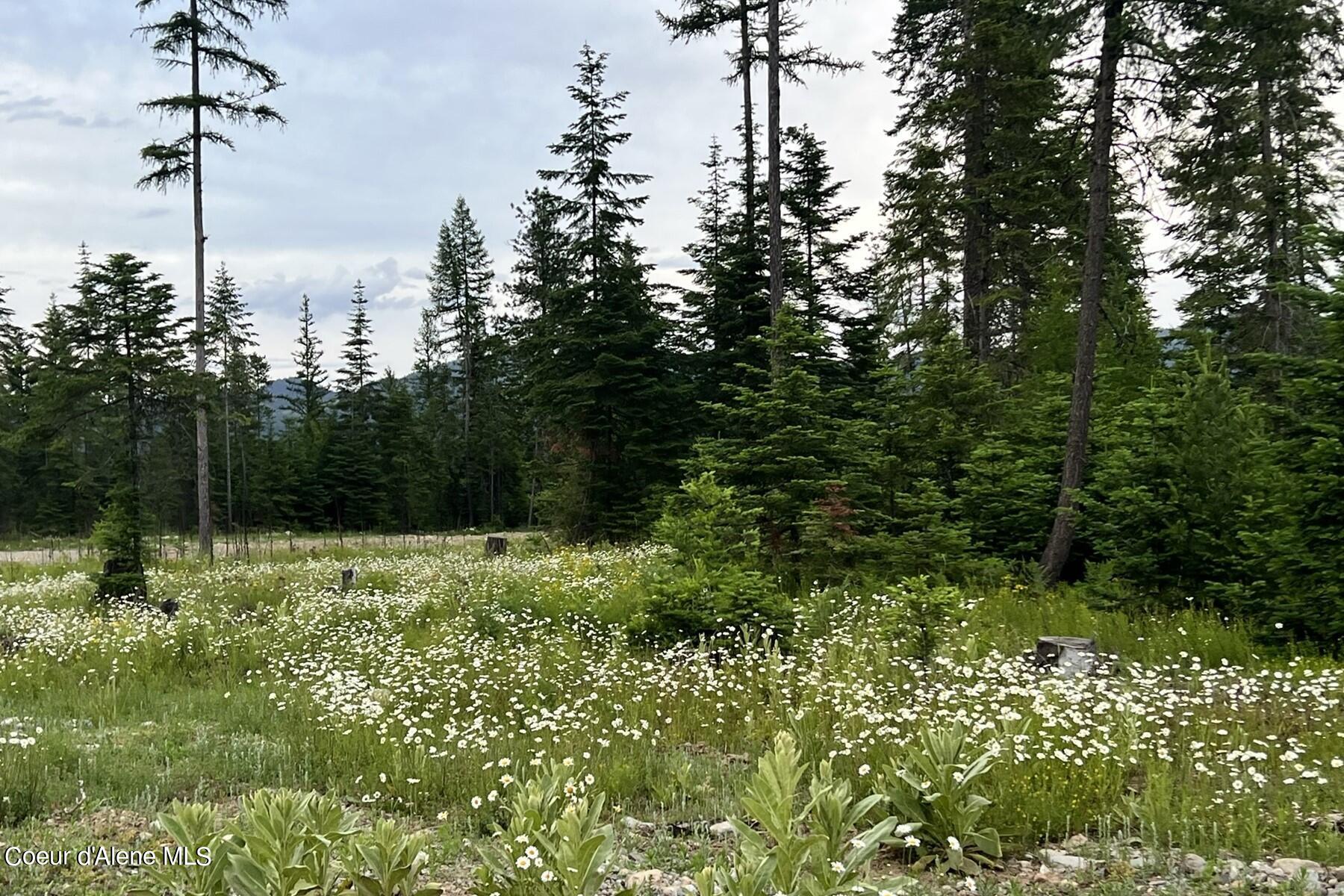 Lot4 Blk2 Leonard Loop, Athol, Idaho image 5