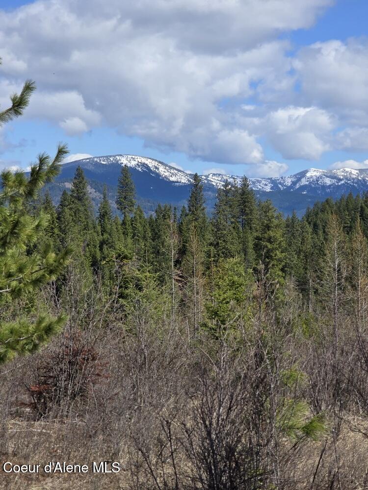 Photo of NKA Mutch Creek Road Road, St. Maries, ID 83861 (MLS # 26-7727)