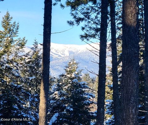 Vacant Land For Sale - Wildflower<br/> Sandpoint, ID 83864