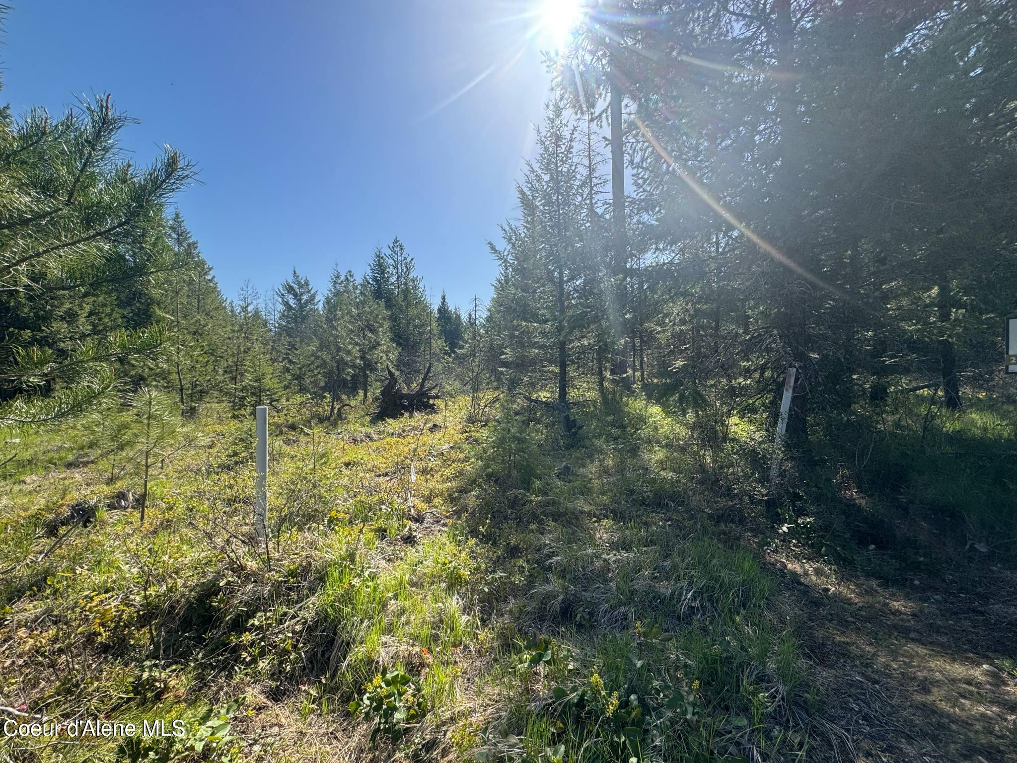 NKA Backroads Way Lot 2 Drive, Priest River, Alaska image 3