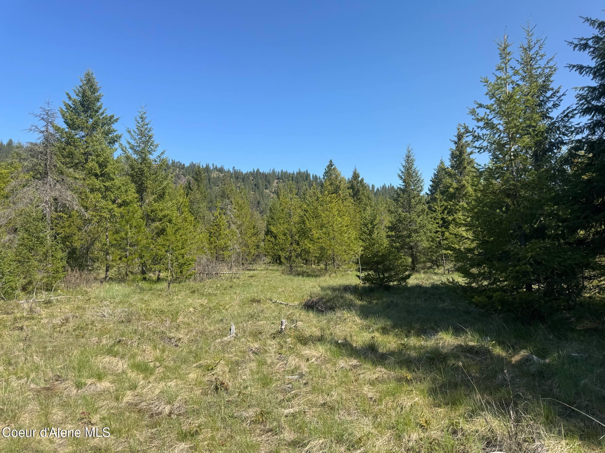 NKA Backroads Way Lot 2 Drive, Priest River, Alaska image 6