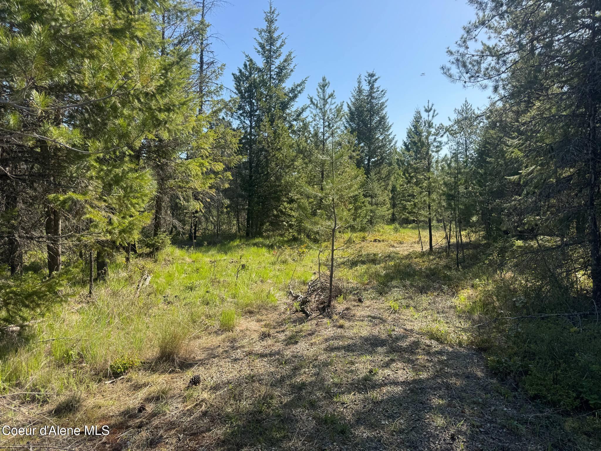 NKA Backroads Way Lot 2 Drive, Priest River, Alaska image 2
