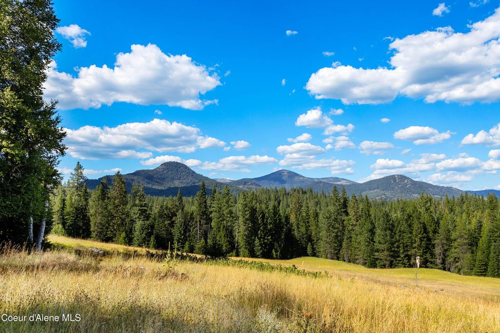 Photo of 2340 Helen Thompson Rd, Sandpoint, ID 83864 (MLS # 25-9766)