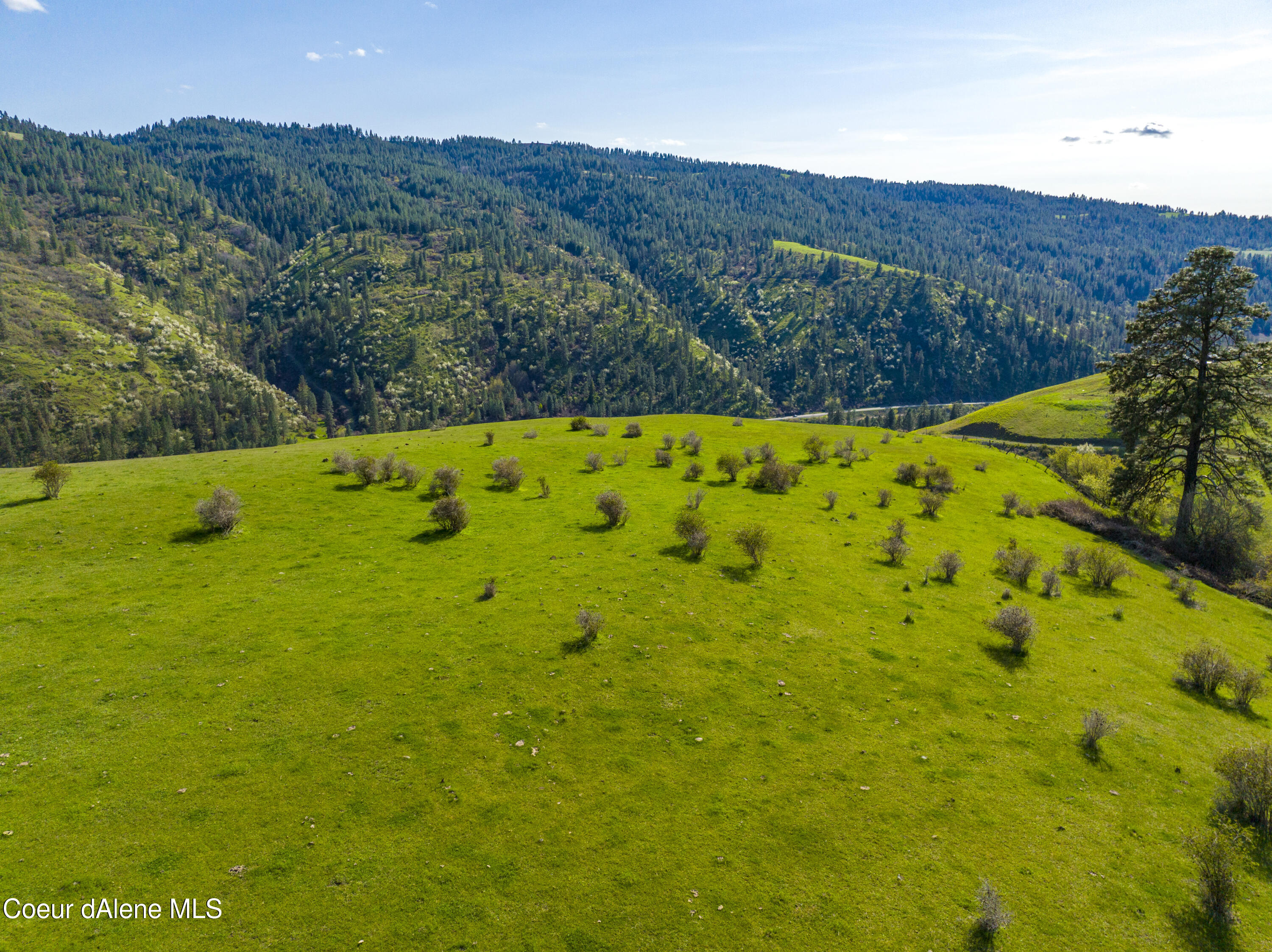 NKA 90.25ac Sunnyside Bench, Lenore, Idaho image 5