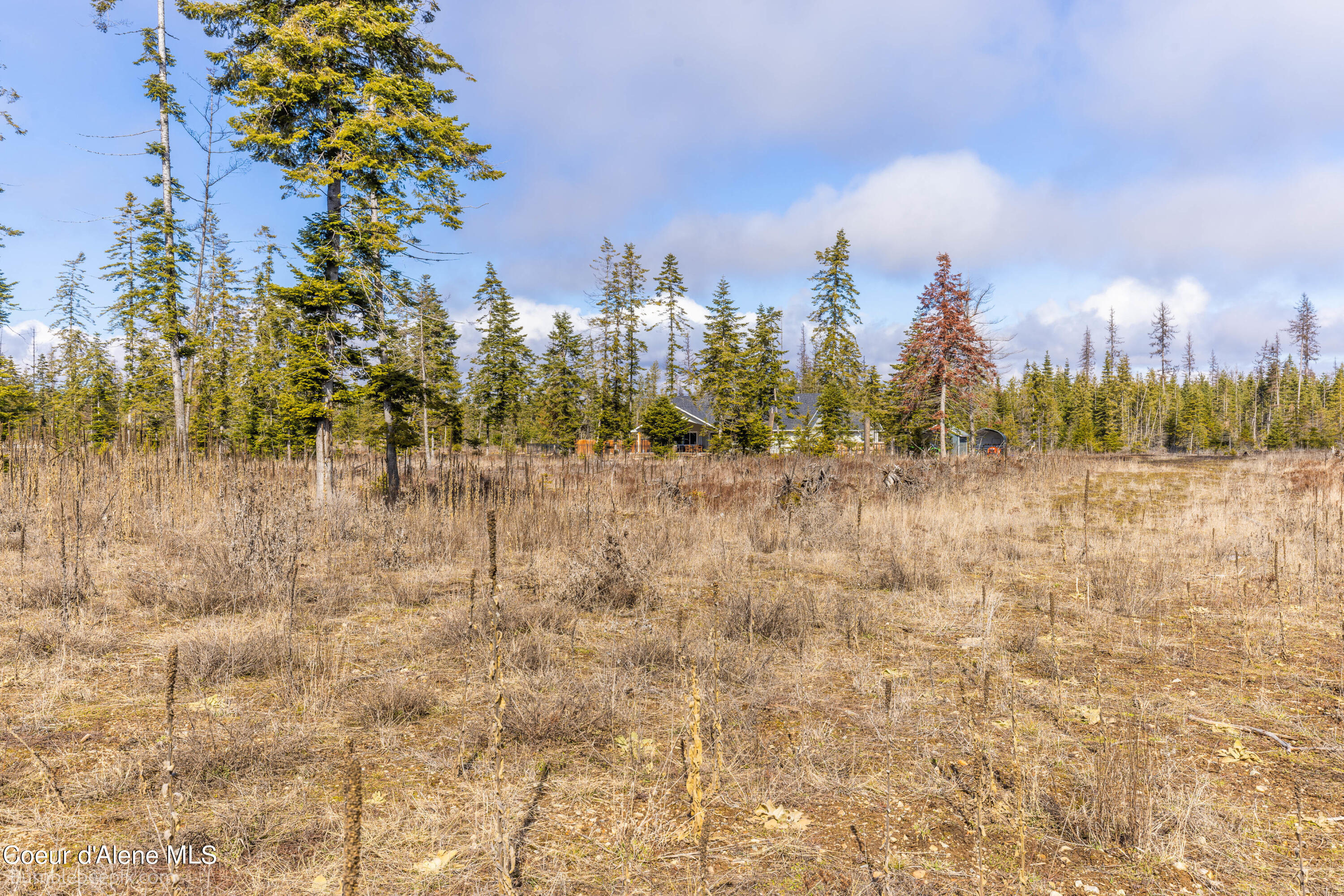 Athol, Idaho 83801, United States, 3 Bedrooms Bedrooms, ,2 BathroomsBathrooms,Residential,Pending,64215