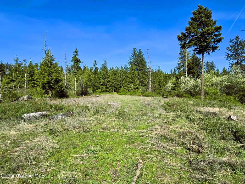 Photo of NKA Emerald, Harrison, ID 83833 (MLS # 26-2952)