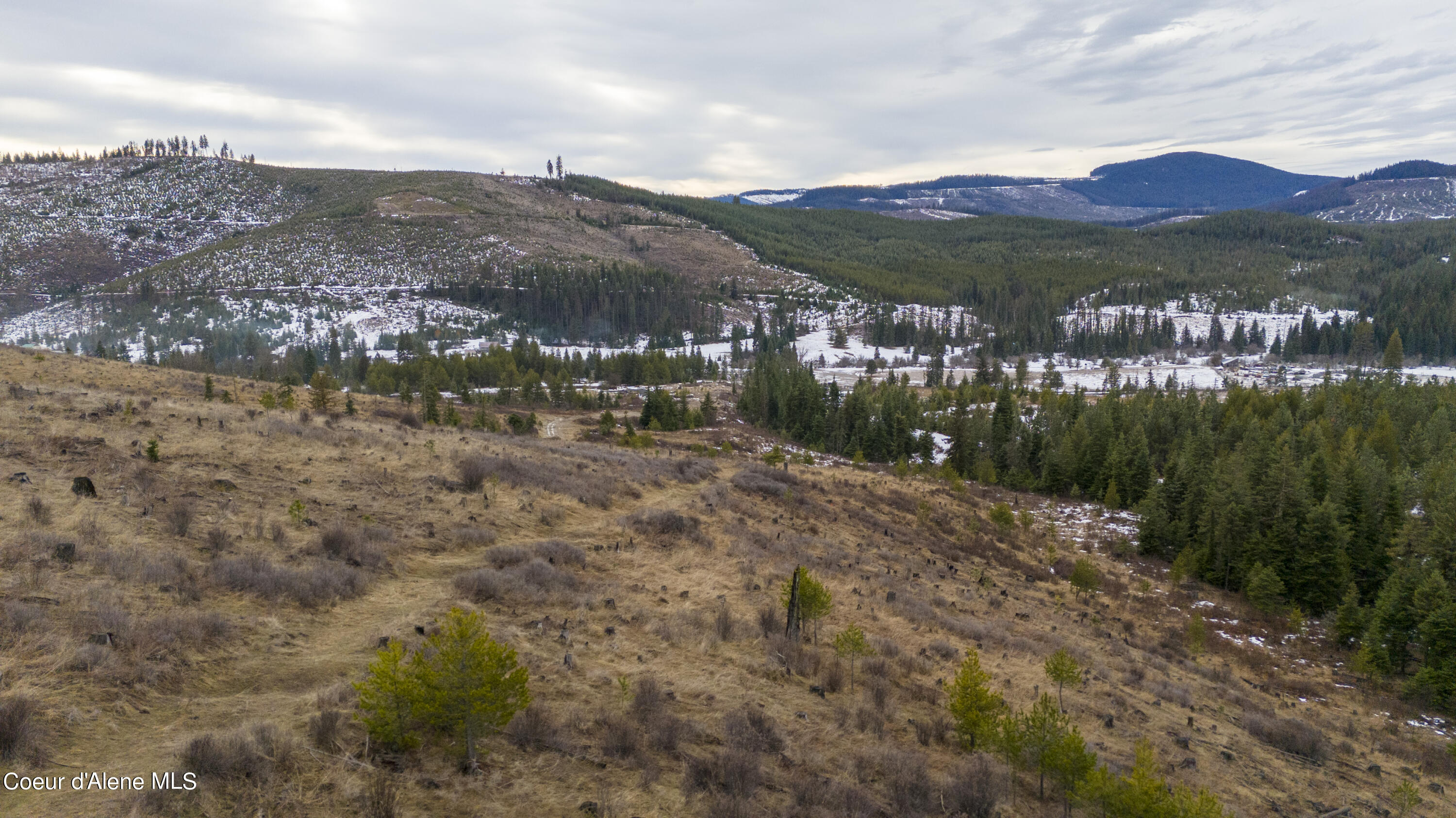 1175 Sheep Creek, Santa, Idaho image 12