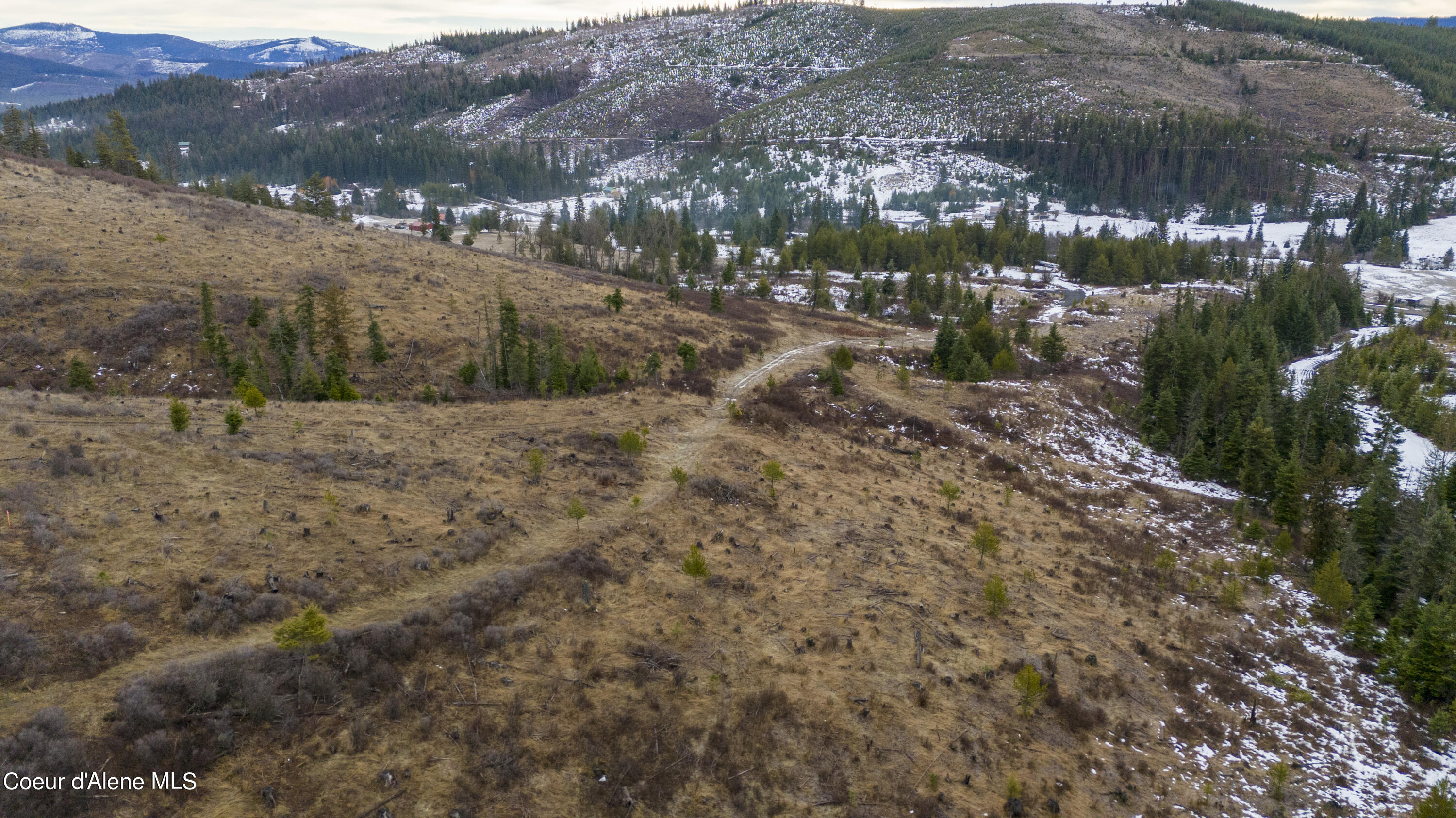 1175 Sheep Creek, Santa, Idaho image 15