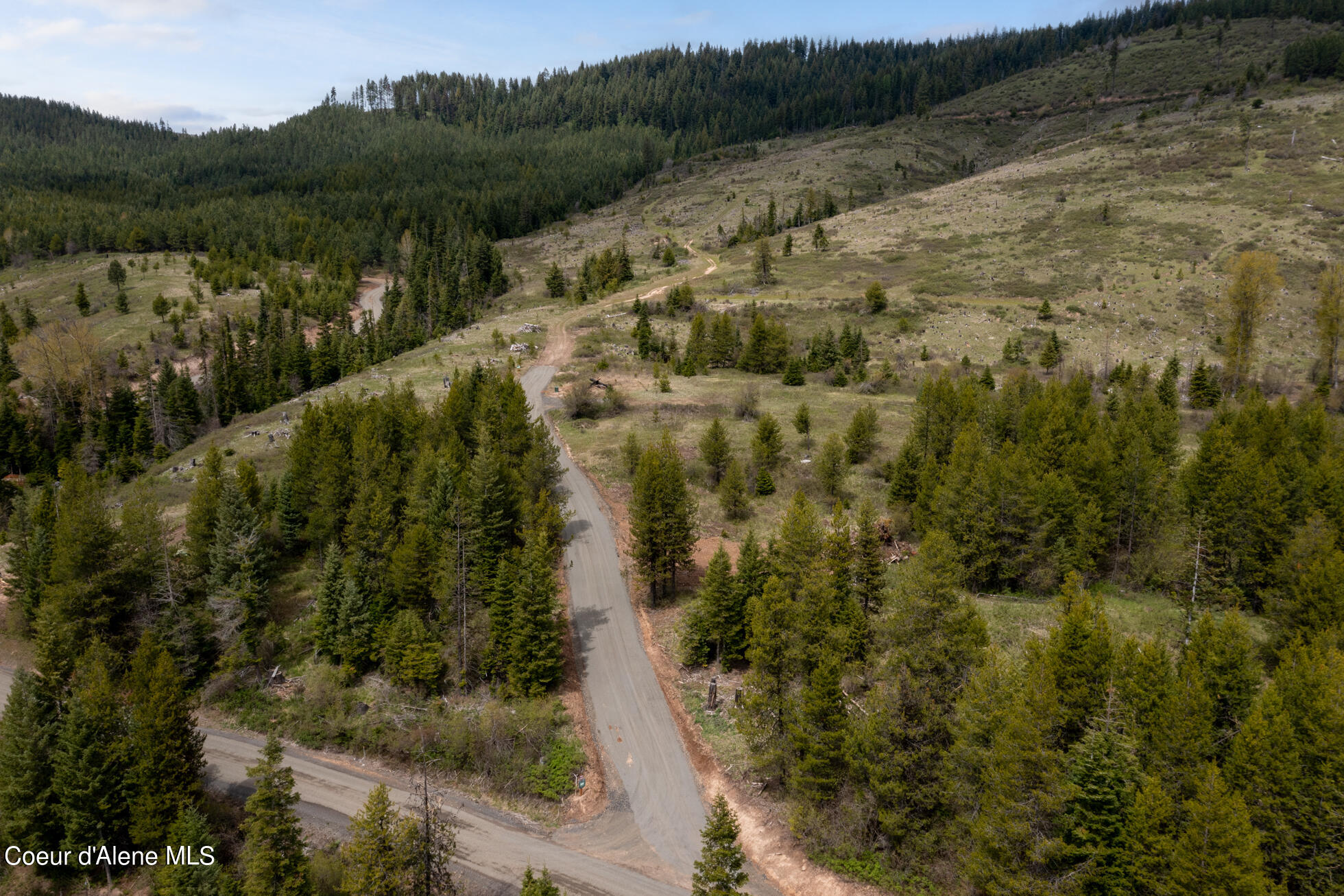 1175 Sheep Creek, Santa, Idaho image 1