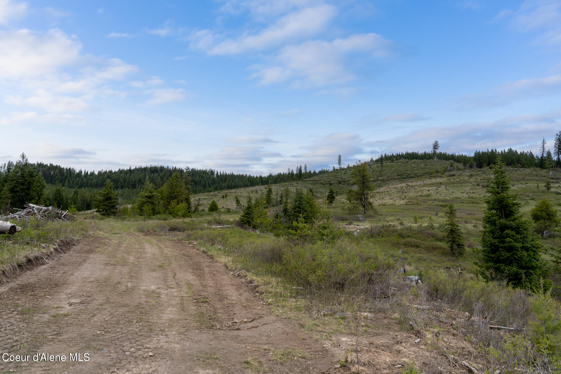 1175 Sheep Creek, Santa, Idaho image 6