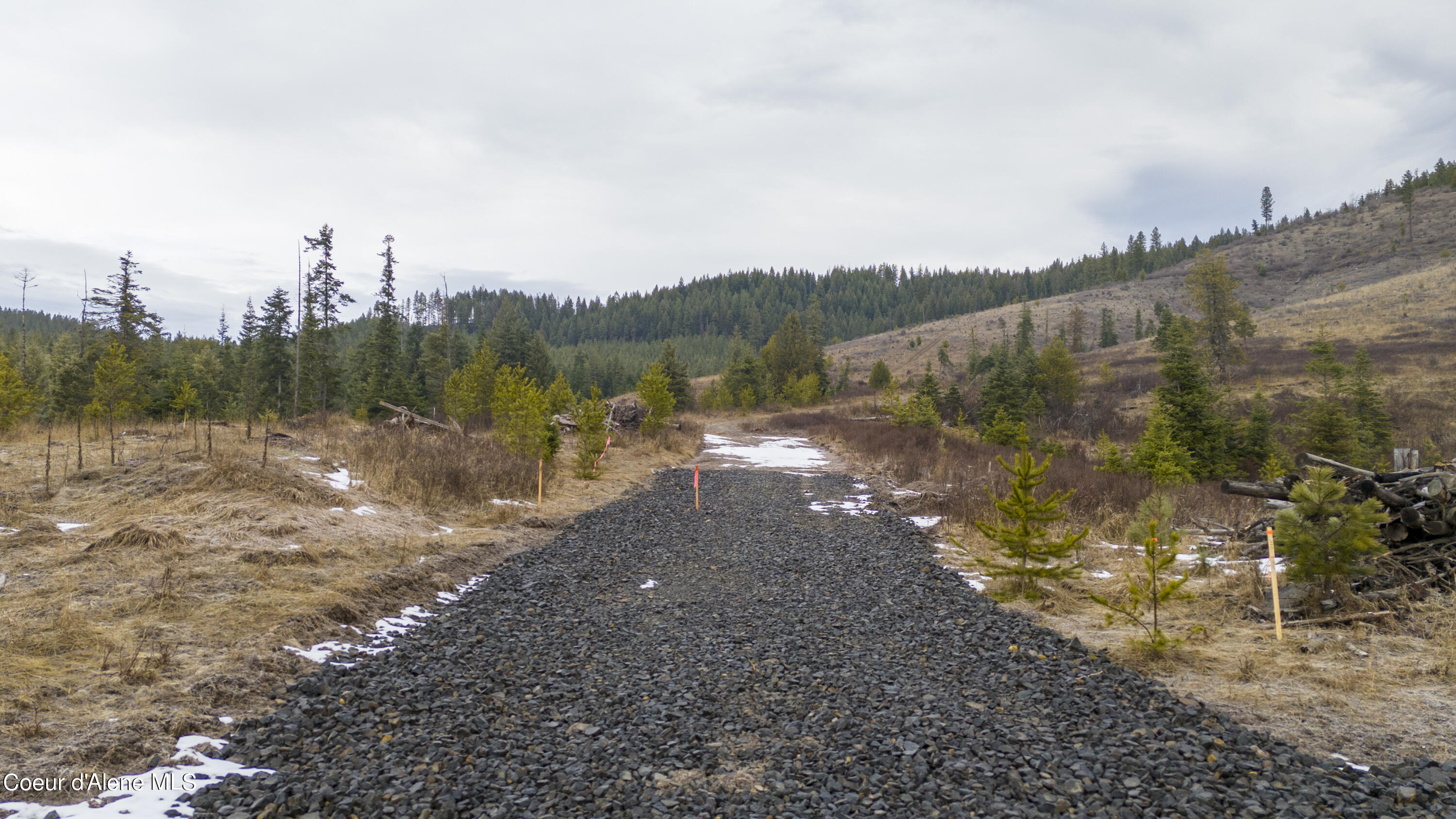 1175 Sheep Creek, Santa, Idaho image 7