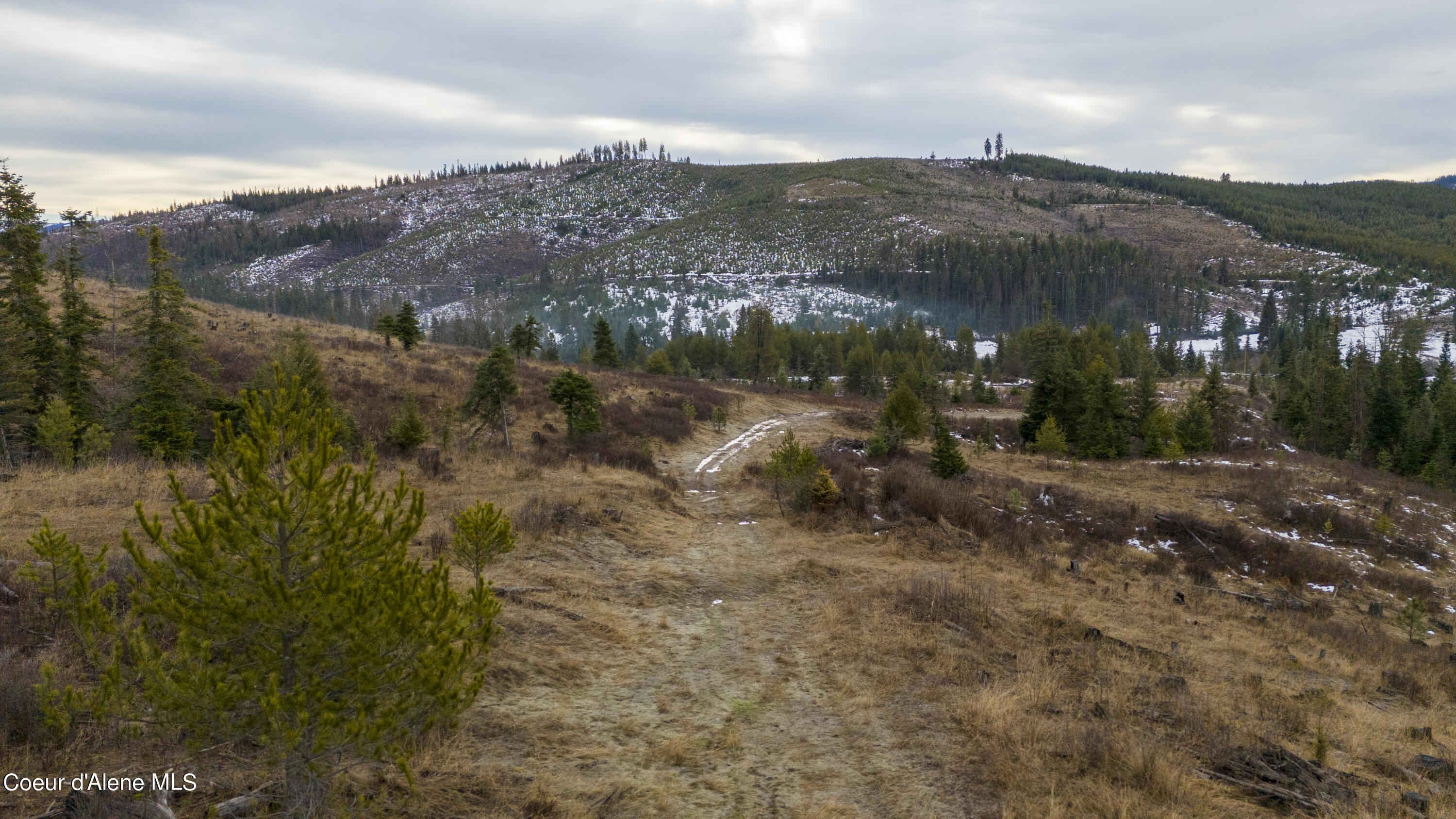 1175 Sheep Creek, Santa, Idaho image 16