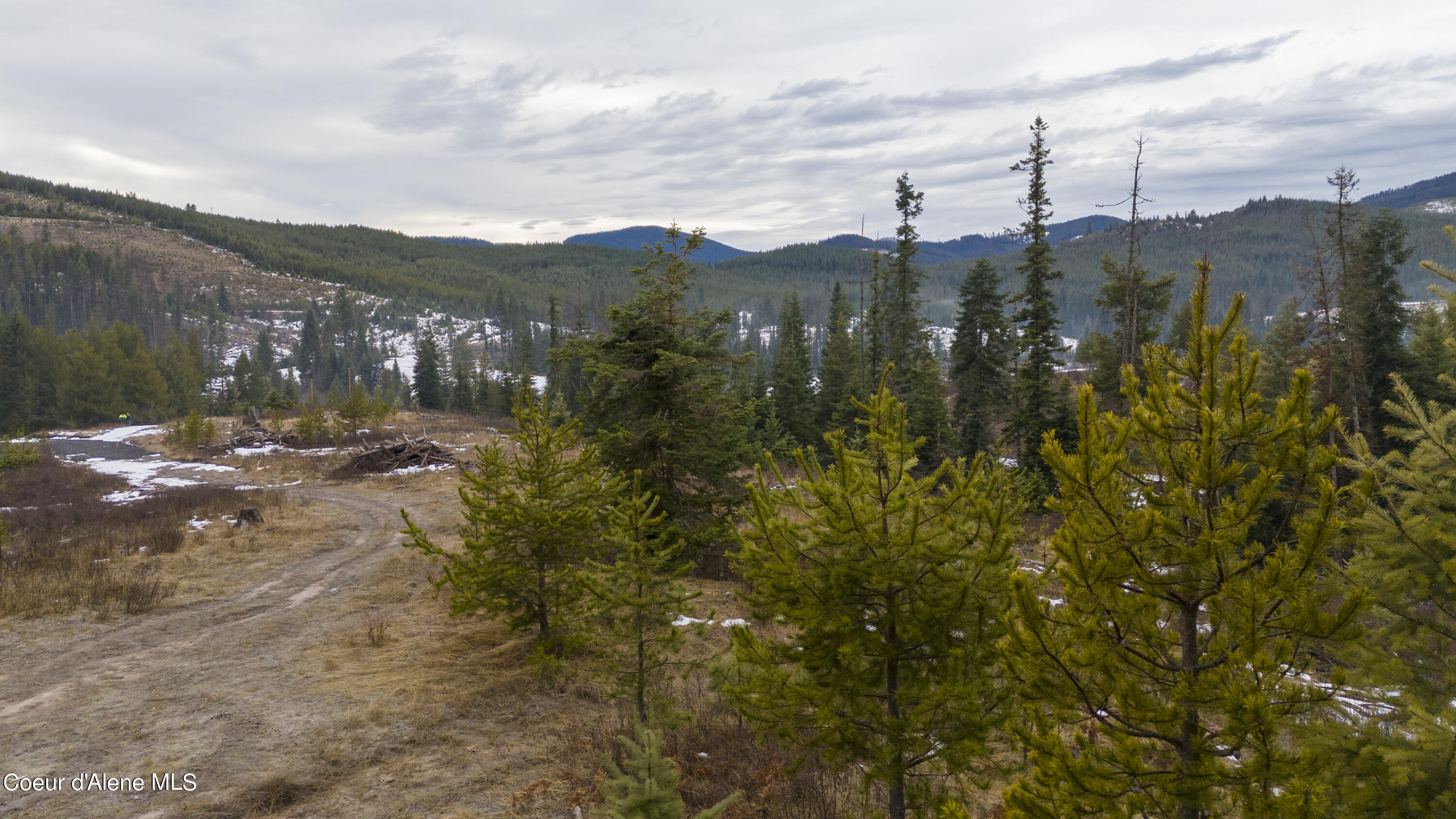 1175 Sheep Creek, Santa, Idaho image 9