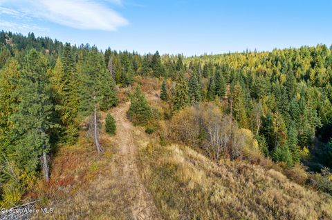 Vacant Land For Sale - NKA Church<br/> Kootenai County, Rathdrum, ID 83858