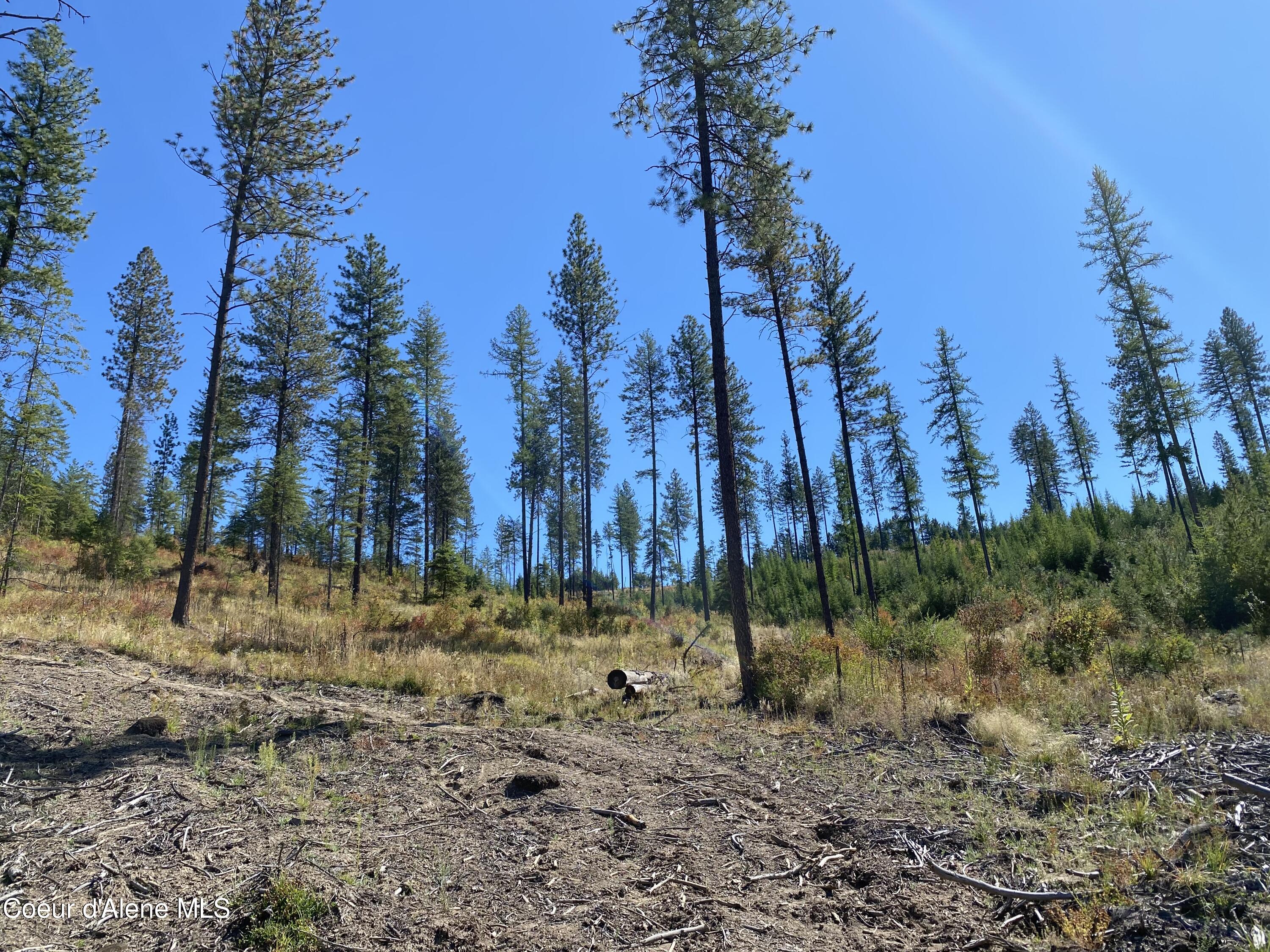 NNA Stone Rd Lot 5, Blanchard, Idaho image 7
