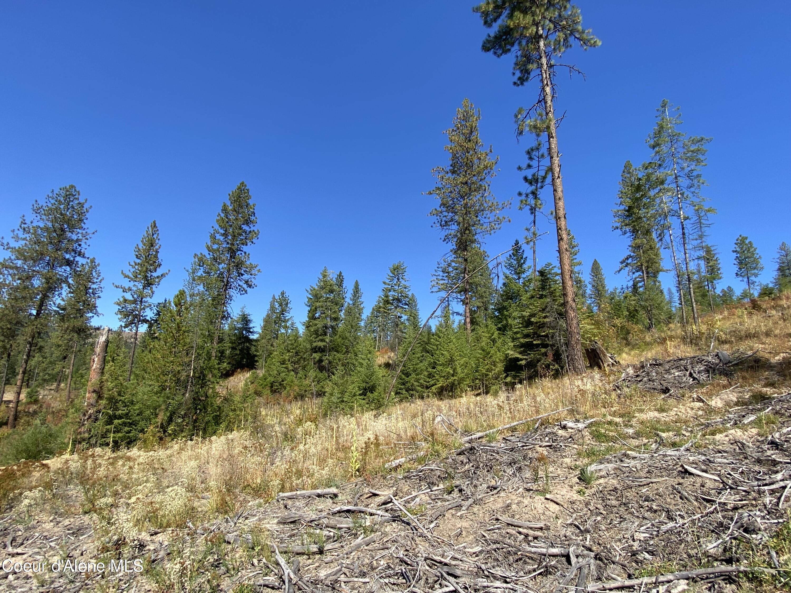 NNA Stone Rd Lot 5, Blanchard, Idaho image 6