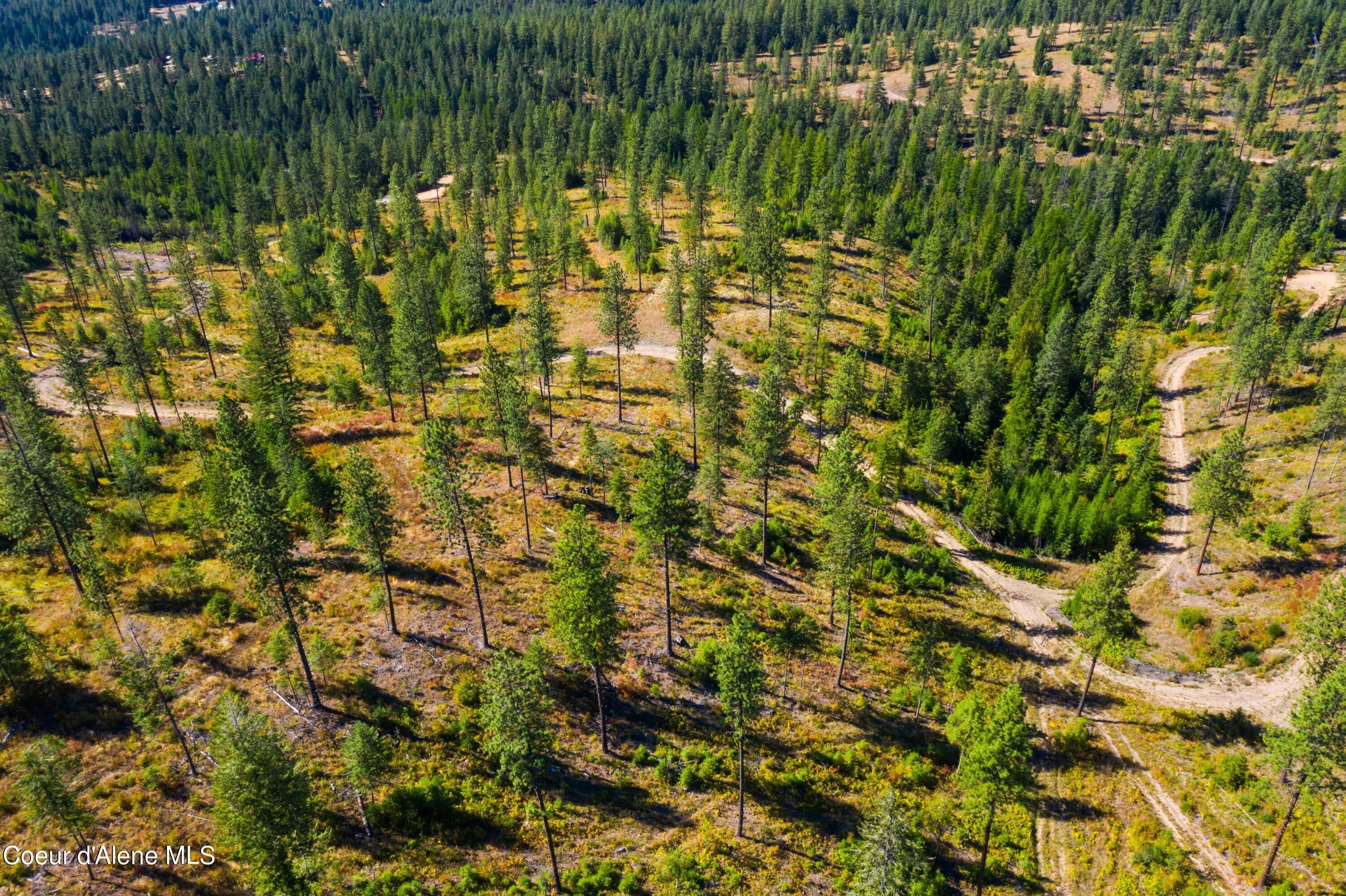 NNA Stone Rd Lot 5, Blanchard, Idaho image 13