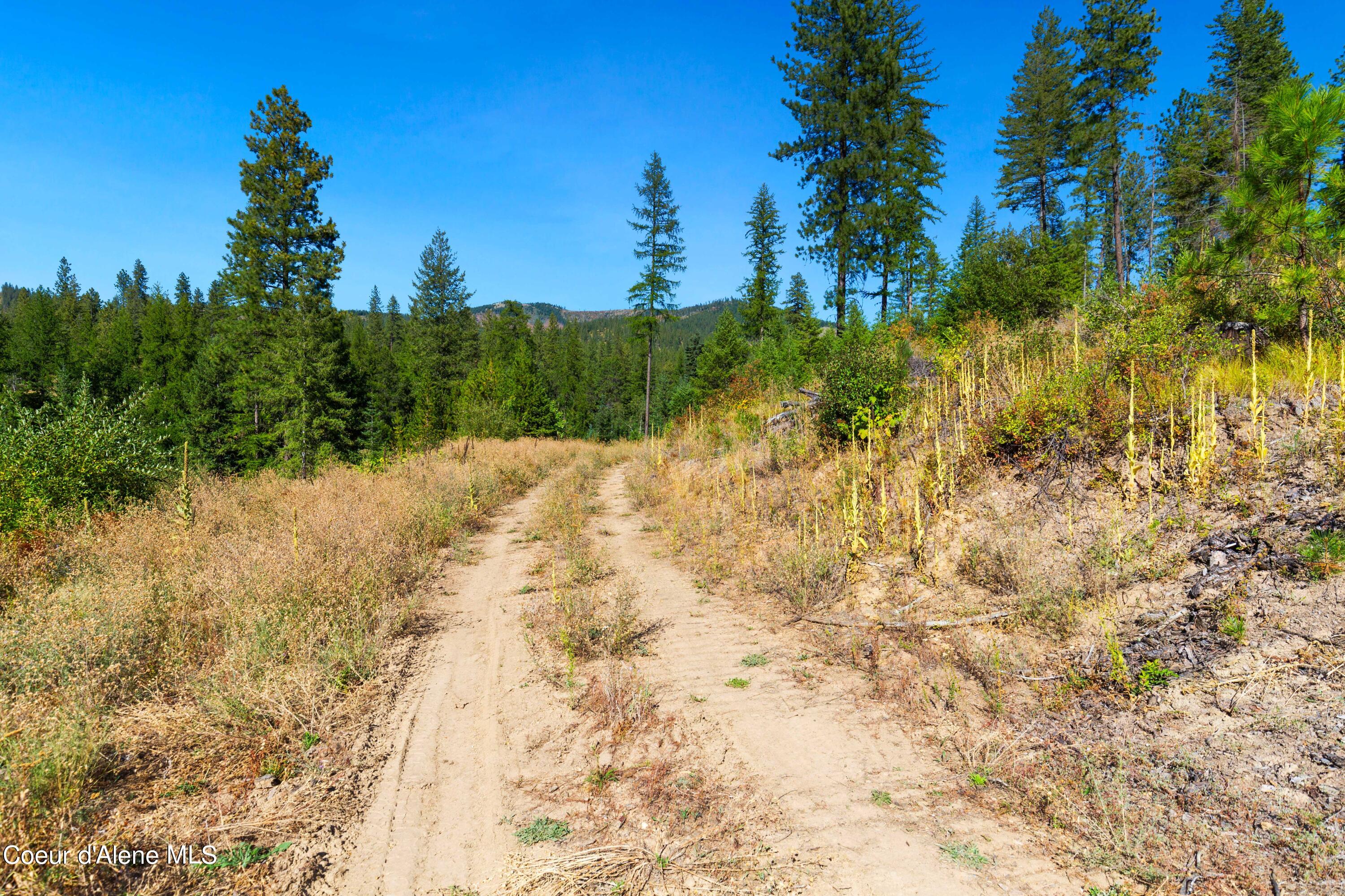 NNA Stone Rd Lot 5, Blanchard, Idaho image 2