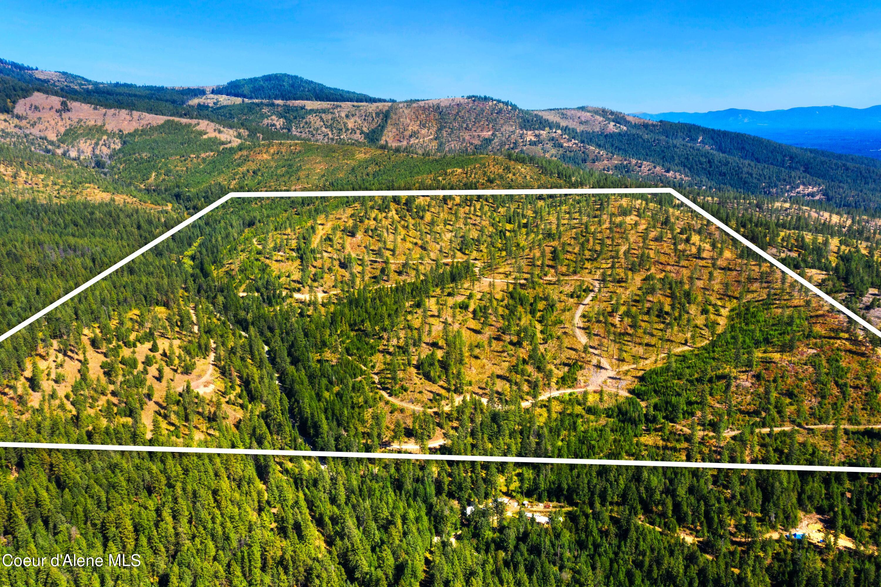 NNA Stone Rd Lot 5, Blanchard, Idaho image 12