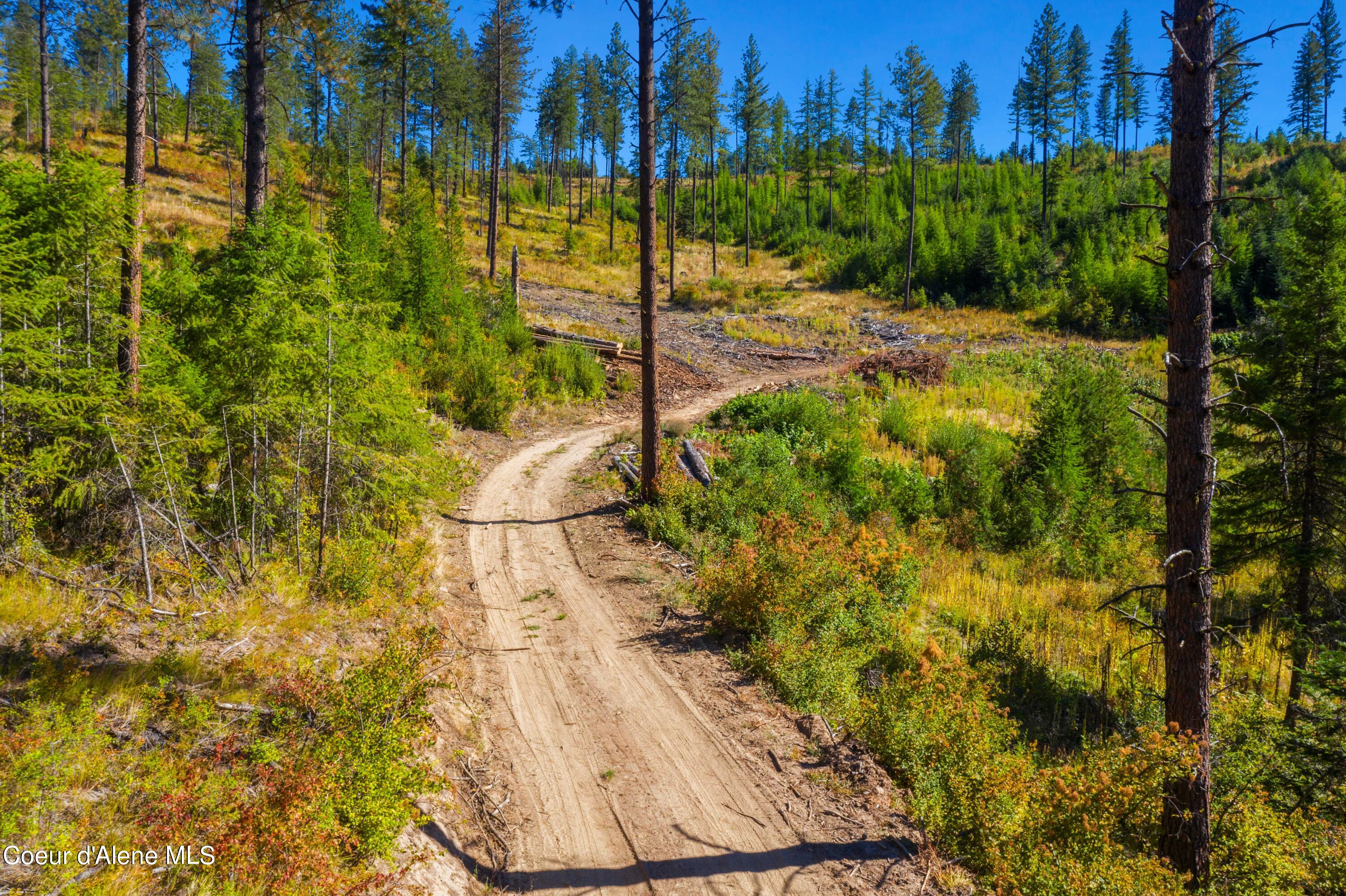 NNA Stone Rd Lot 5, Blanchard, Idaho image 19