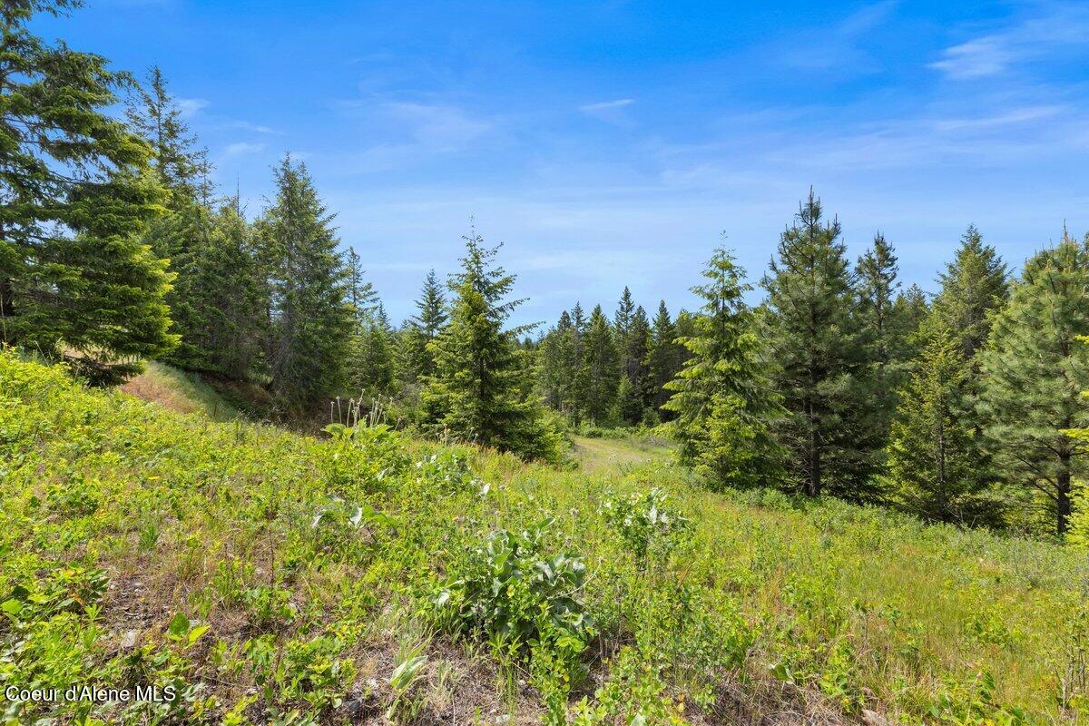 NKA Trails End Rd, Athol, Alaska image 14