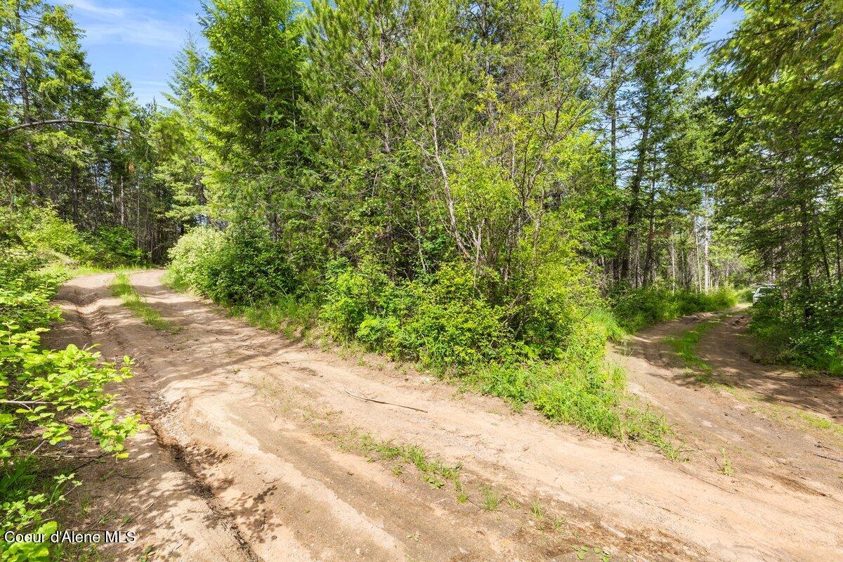 NKA Trails End Rd, Athol, Alaska image 30