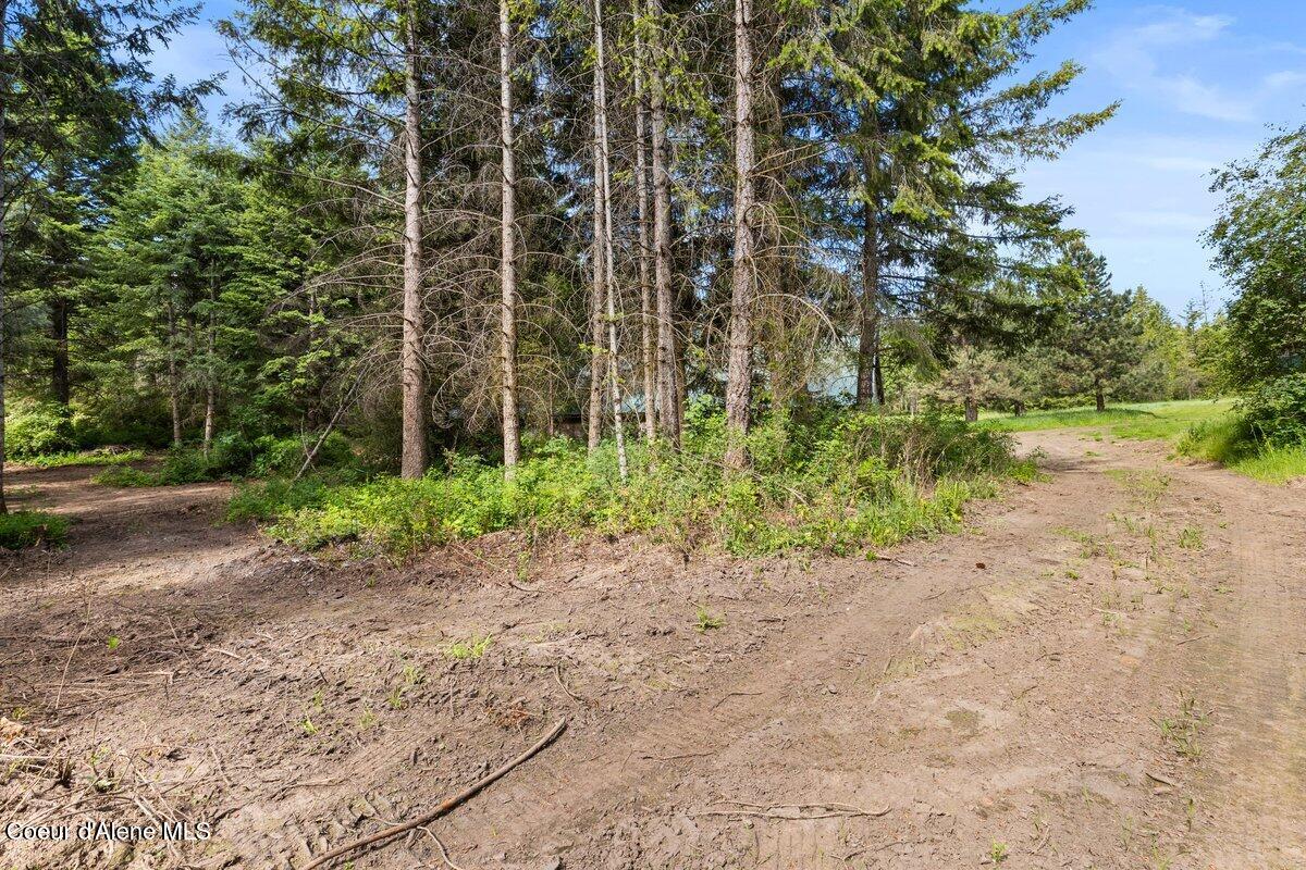NKA Trails End Rd, Athol, Alaska image 27