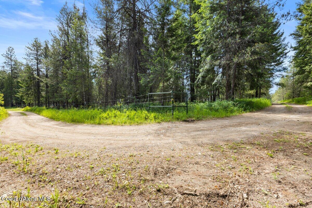 NKA Trails End Rd, Athol, Alaska image 31