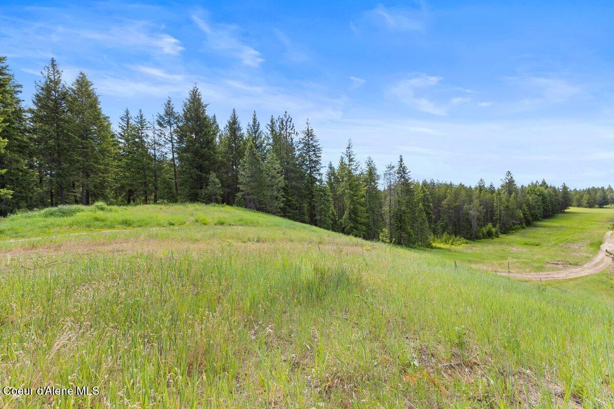 NKA Trails End Rd, Athol, Alaska image 17