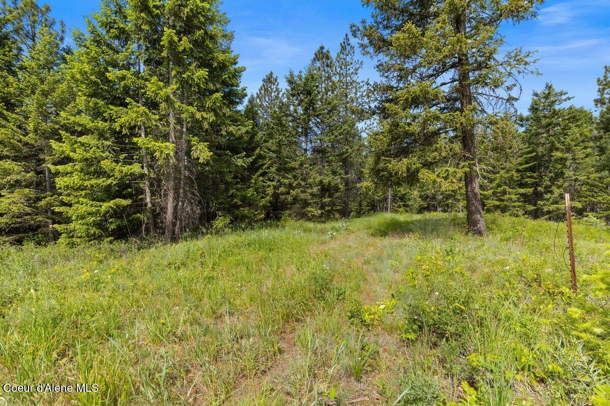 NKA Trails End Rd, Athol, Alaska image 13