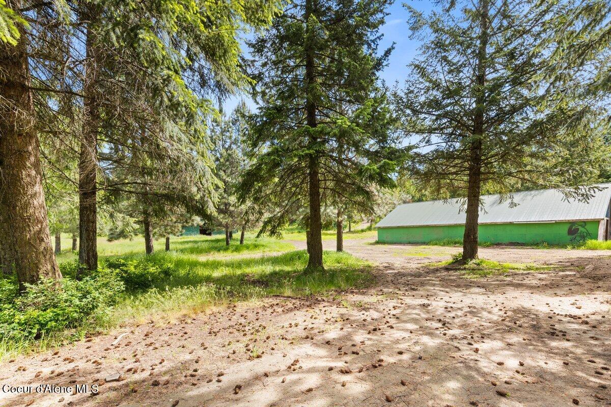 NKA Trails End Rd, Athol, Alaska image 23