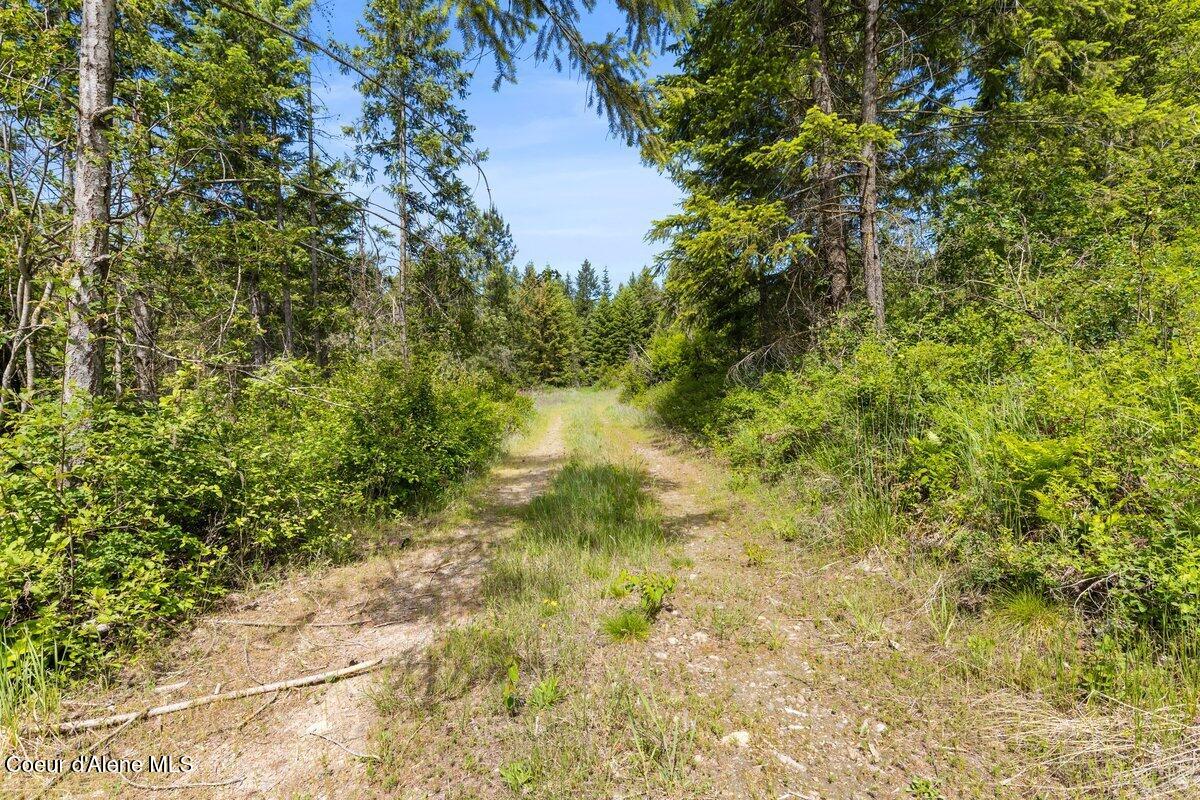NKA Trails End Rd, Athol, Alaska image 12