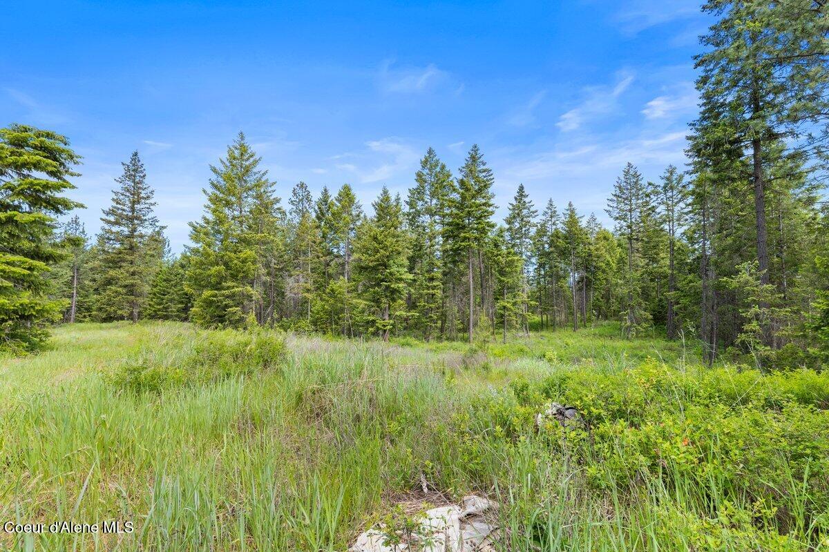 NKA Trails End Rd, Athol, Alaska image 15