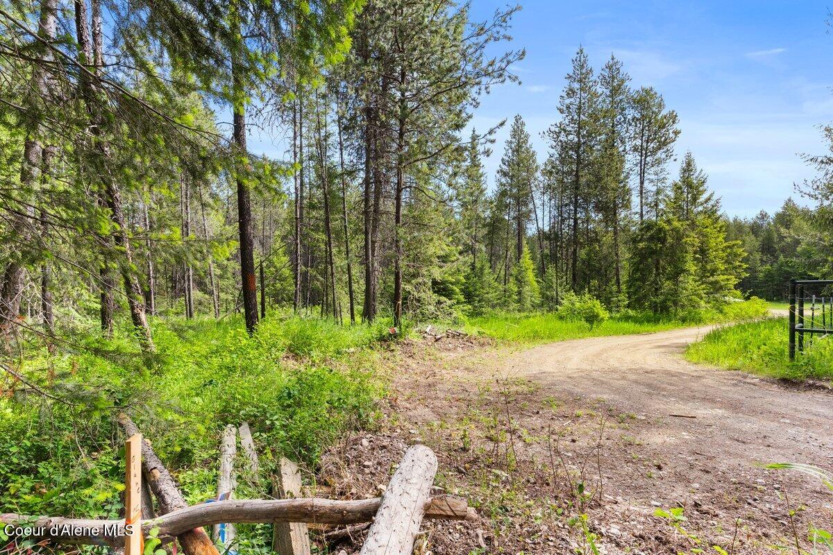 NKA Trails End Rd, Athol, Alaska image 28