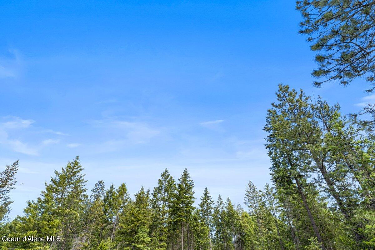 NKA Trails End Rd, Athol, Alaska image 16
