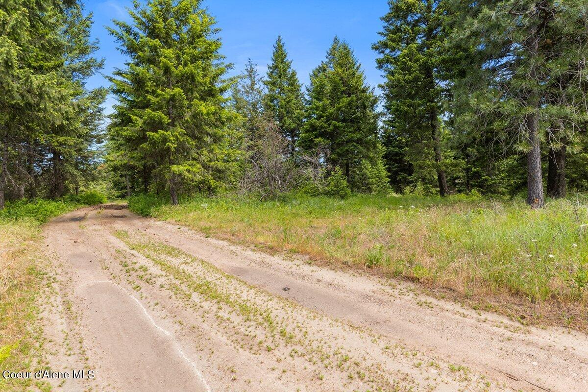 NKA Trails End Rd, Athol, Alaska image 19