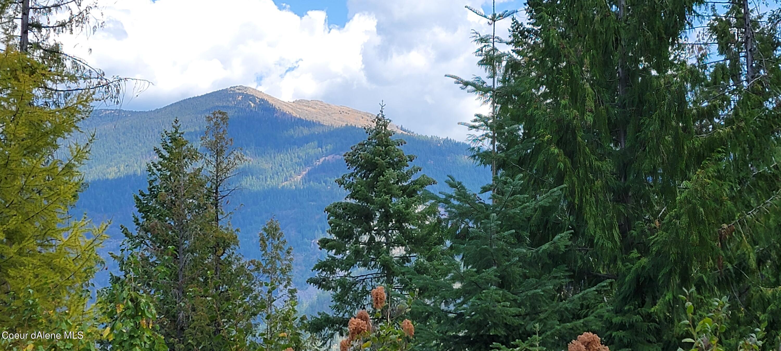 NNA Enchanted Lane, Moyie Springs, Idaho image 3