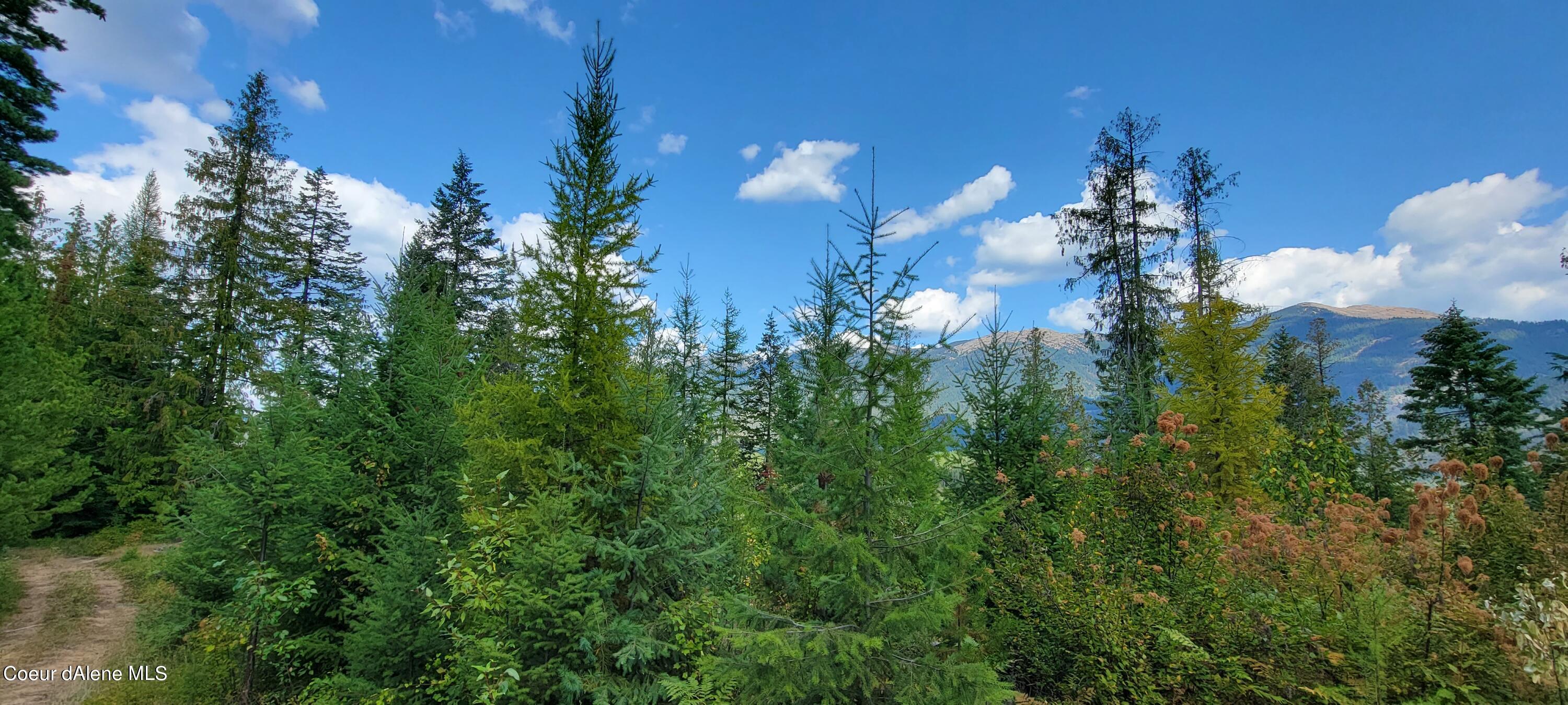 NNA Enchanted Lane, Moyie Springs, Idaho image 4