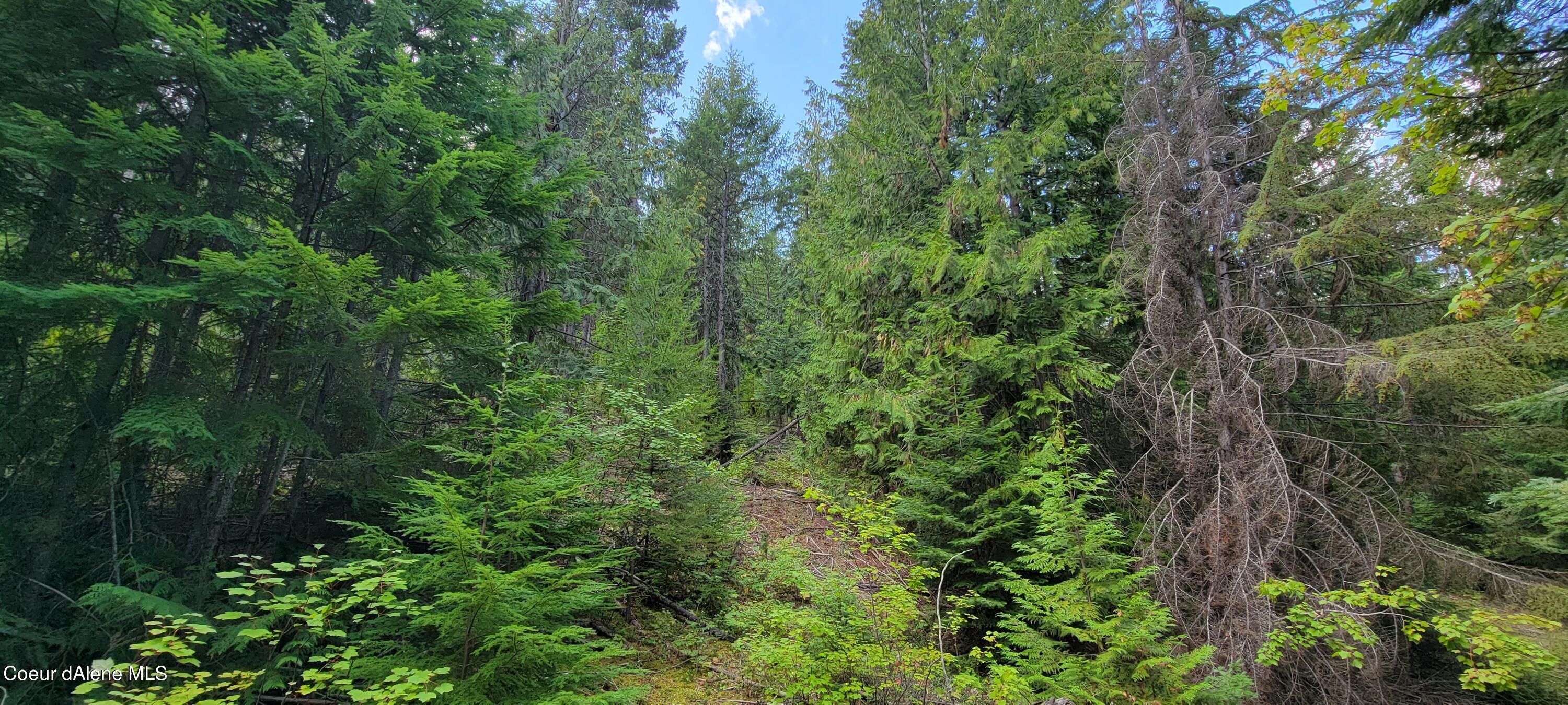 NNA Enchanted Lane, Moyie Springs, Idaho image 7