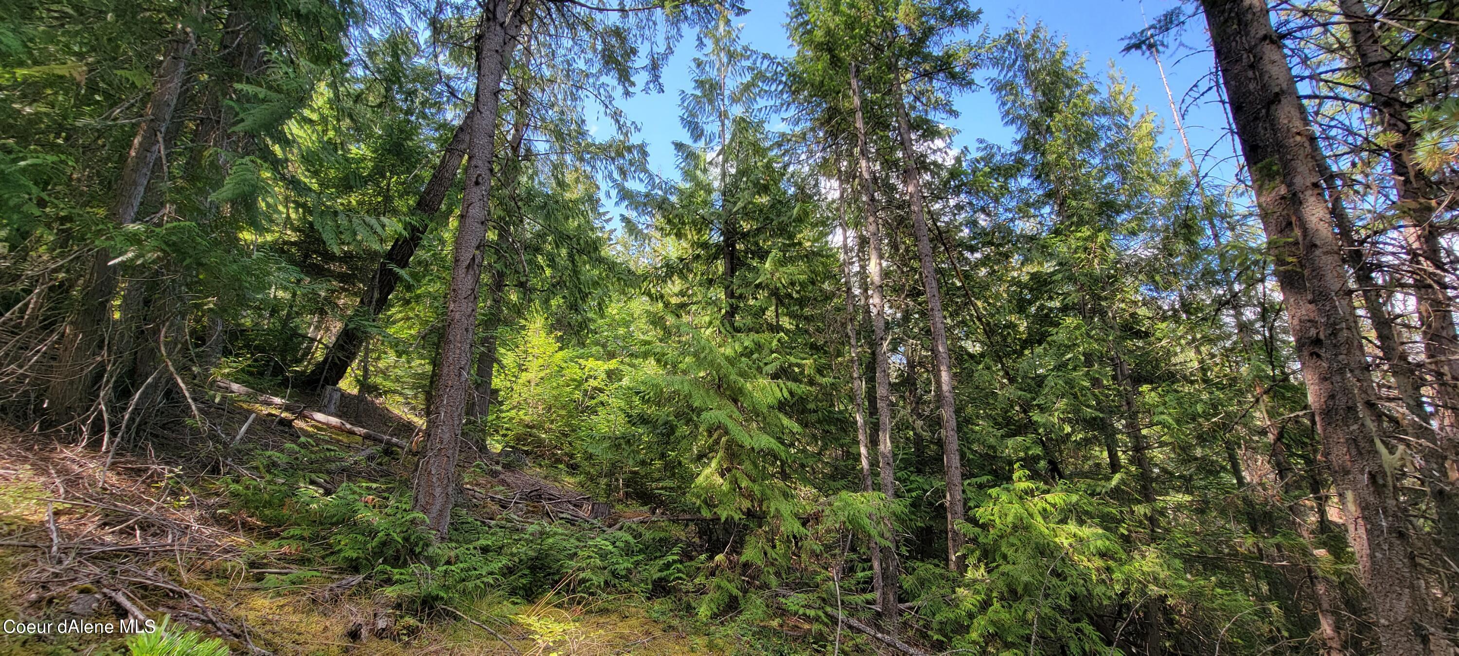 NNA Enchanted Lane, Moyie Springs, Idaho image 8