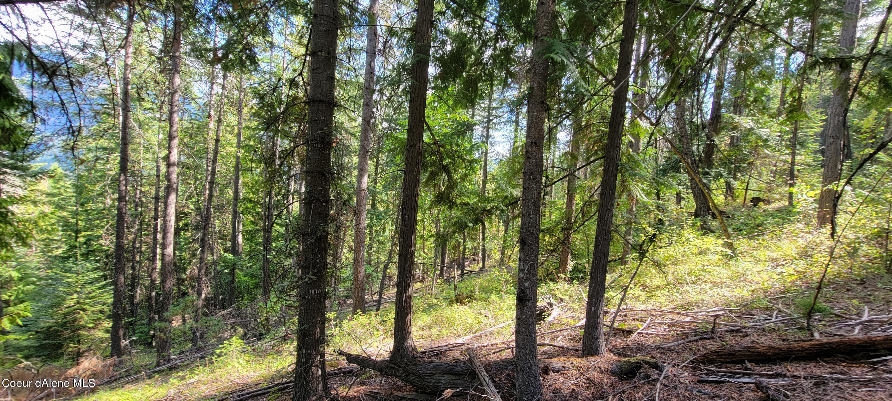 NNA Enchanted Lane, Moyie Springs, Idaho image 11